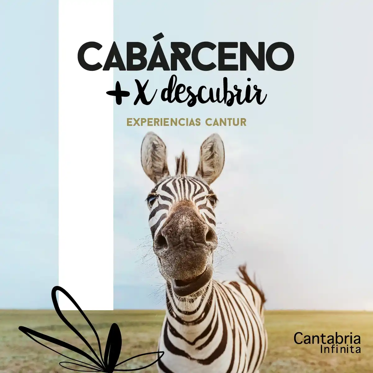 CampañaTurismo21_Piezas-03_3